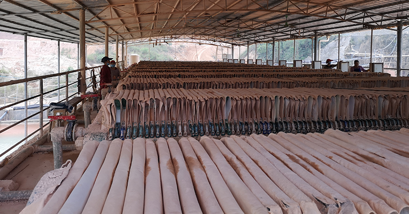 青青草免费观看视频